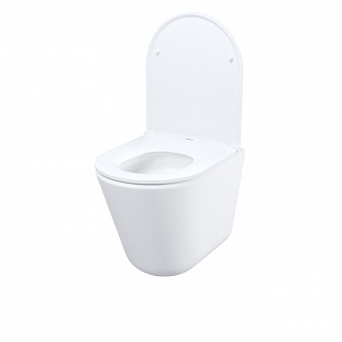 ������ ��������� ������������ IDDIS Ray (RAYRDSEi25) �� �������� ������� � �. ������� �����