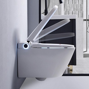 ����������� ������-���� ��������� � ������������ � ������������� ������� TIMO (T�-751)